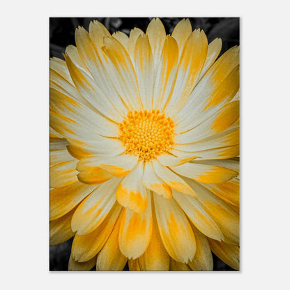 9a79a079-8851-4b25-a506-f1e58a57d59a