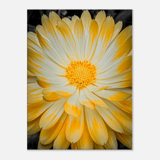 9a79a079-8851-4b25-a506-f1e58a57d59a