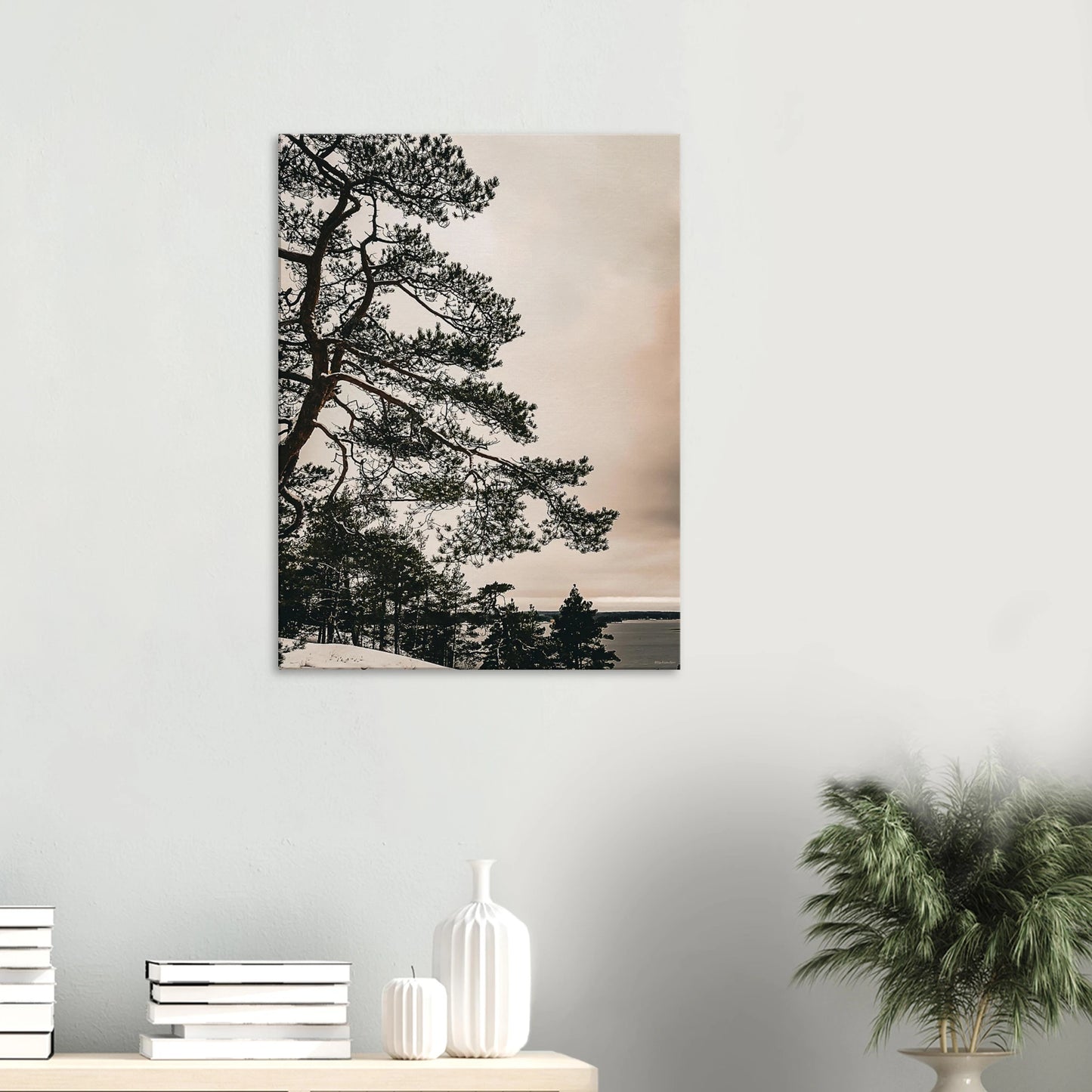 9a80329c-861d-410c-a3eb-cb7e80041344