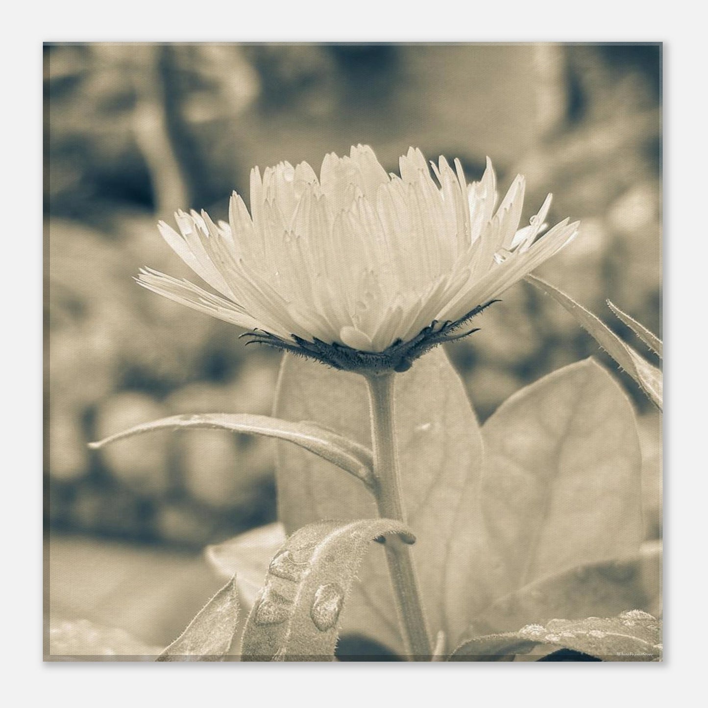 9a8d066a-2784-4c17-a6b9-b697dde426e2