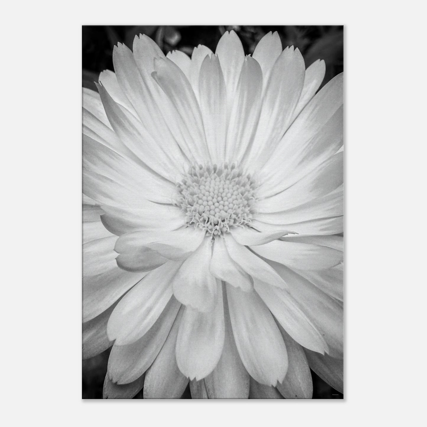 9aa16ba3-37d8-4eb1-ab08-20bb2654b40c