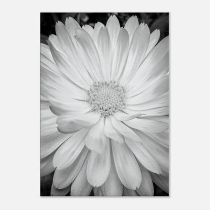 9aa16ba3-37d8-4eb1-ab08-20bb2654b40c