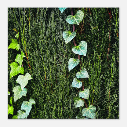 9ad36f1e-c5e3-4201-ba36-33c72efb682a