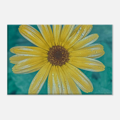 9ad3b3a2-f7f6-4947-abf2-6f27886c30d2