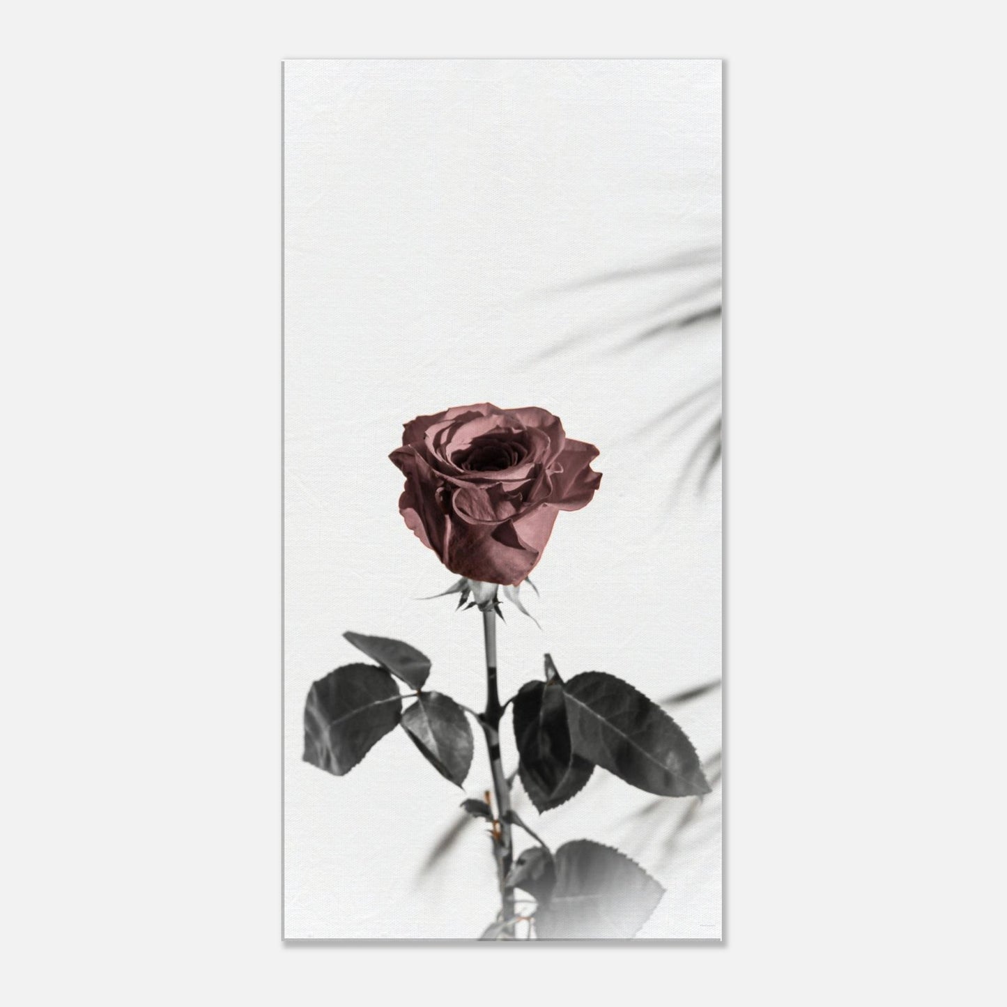 9addce35-fedc-4852-8b3a-a2f5d076d1e7