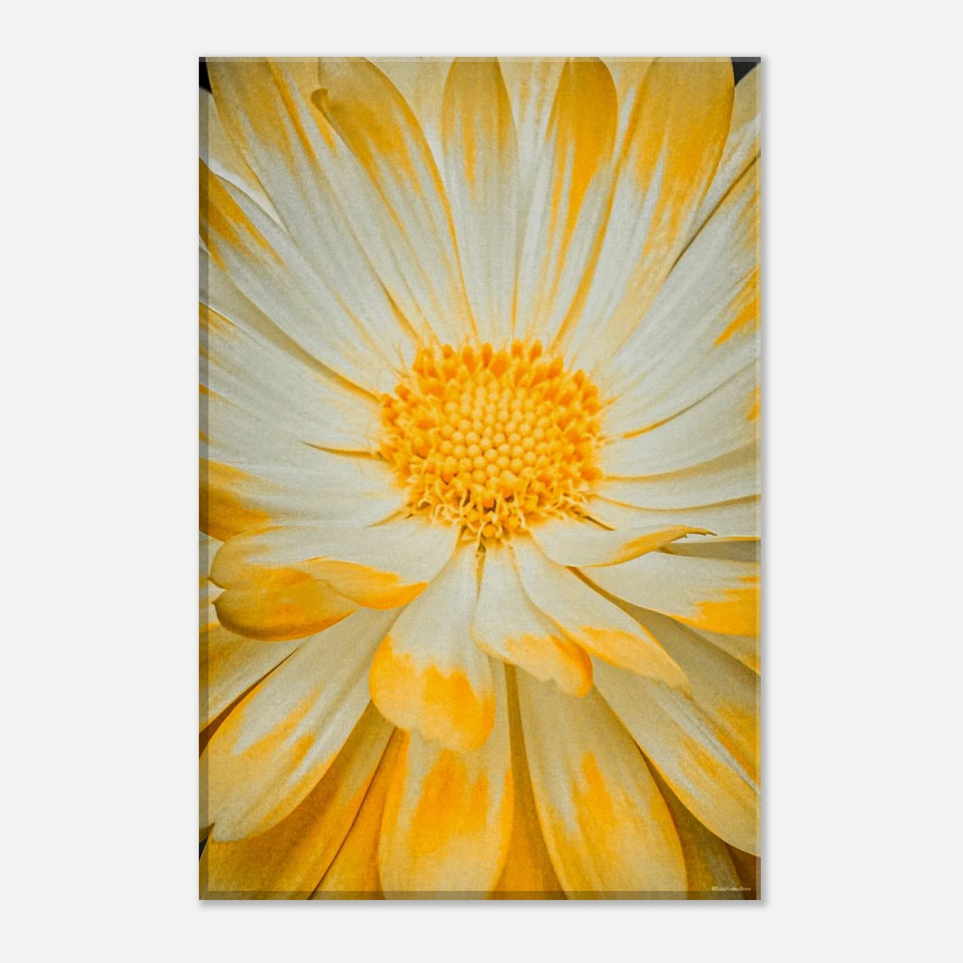 9aef7732-5ed3-495c-a70f-a9dc538dcb9b