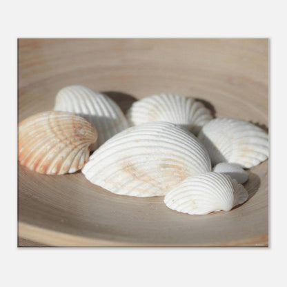 9af6bffc-b8aa-404d-ab04-42467867f0b4