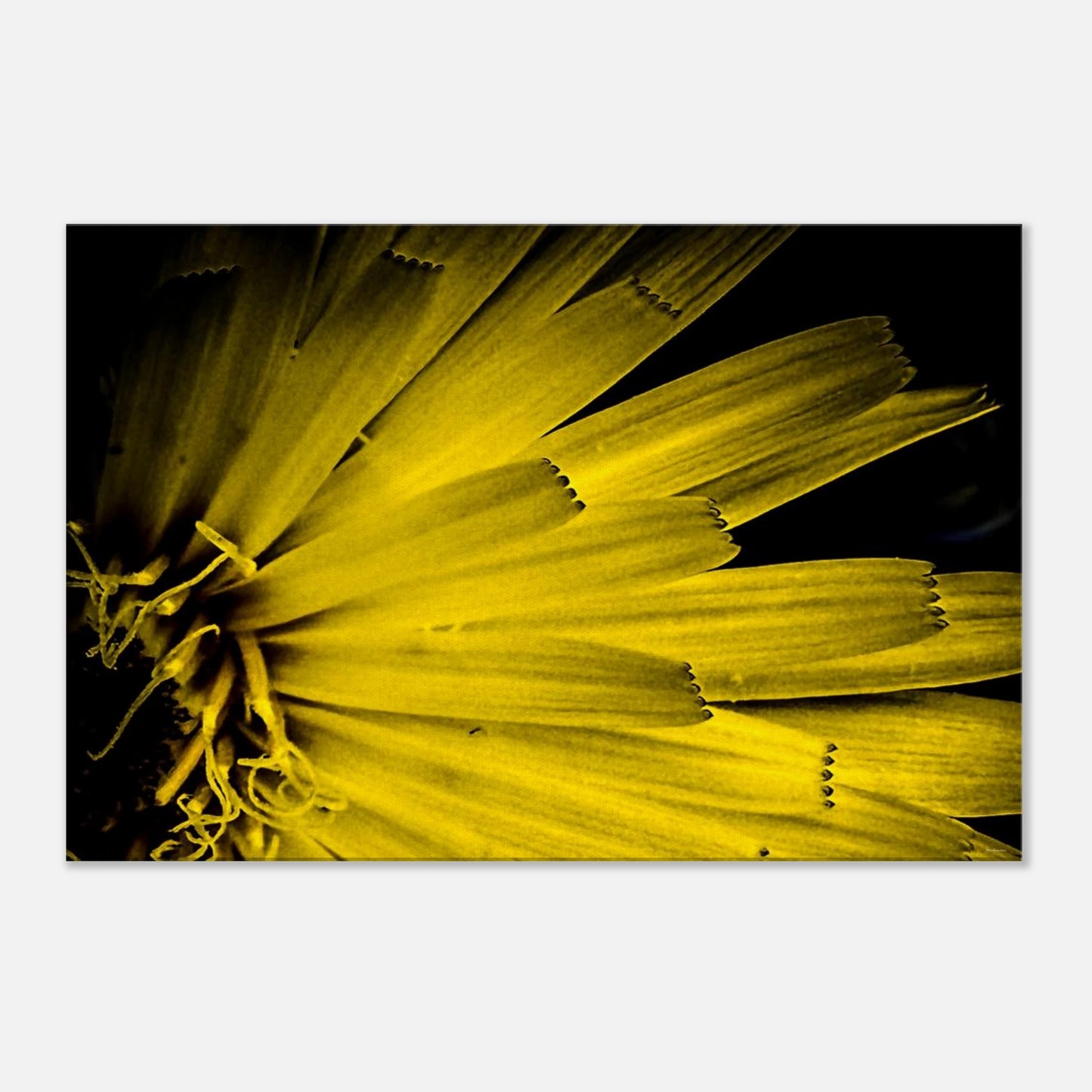 9b475b1d-25f4-4719-94c8-bdbef3e3c1ad