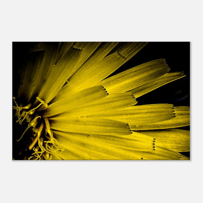 9b475b1d-25f4-4719-94c8-bdbef3e3c1ad