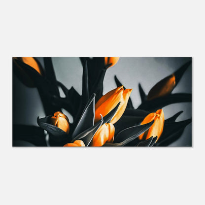 9b7dc0a6-ab33-4728-9ecf-0054be972e7d