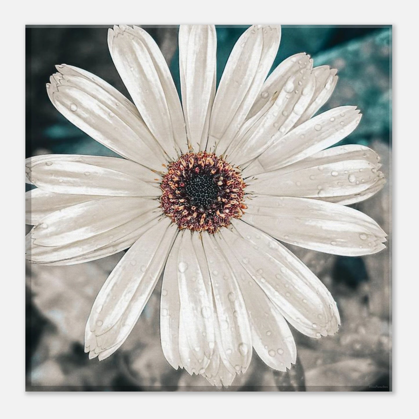 9b8c3b3d-f465-4143-a82a-b1449585d90b