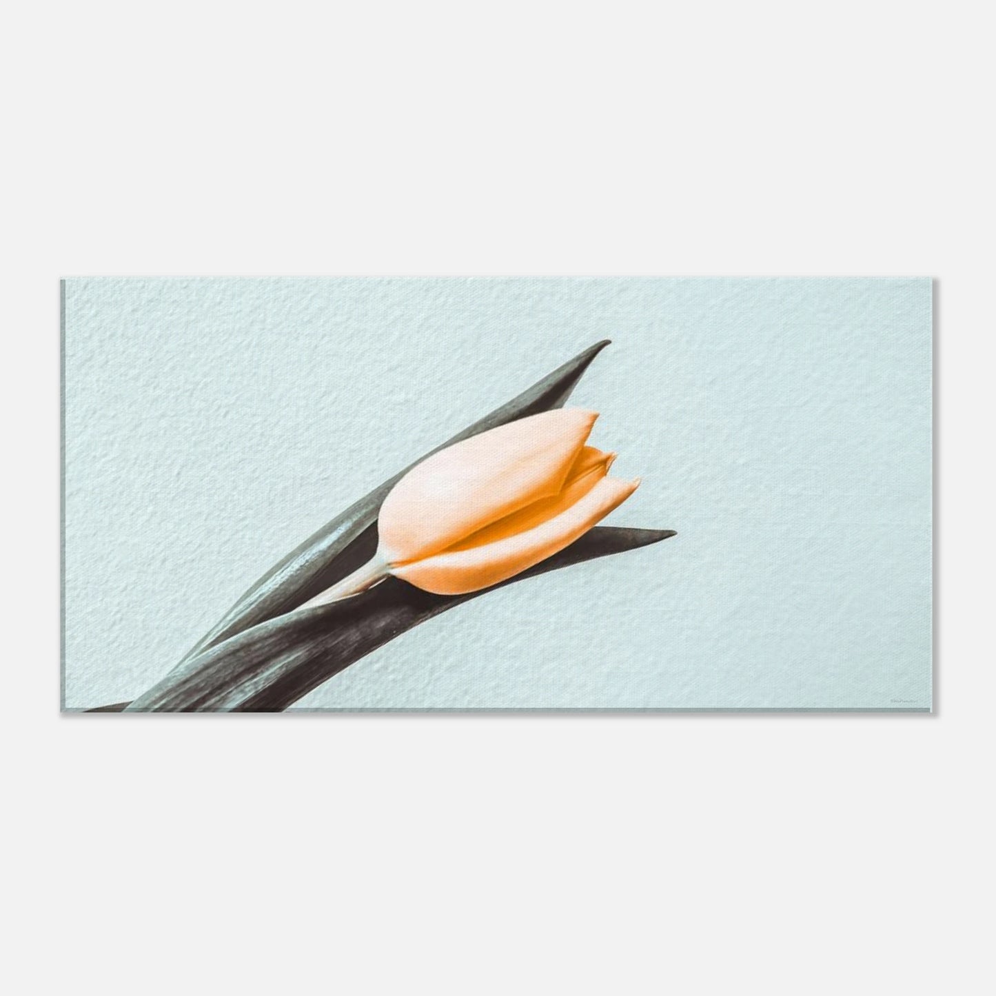 9bac9b0a-f954-476a-bd3a-0a5c31d6e9aa