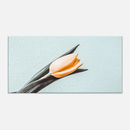 9bac9b0a-f954-476a-bd3a-0a5c31d6e9aa