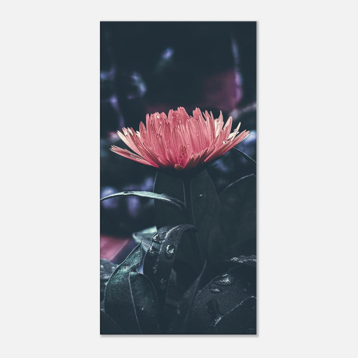 9c0c63e1-03fd-4ee0-bf64-15436d2810e2