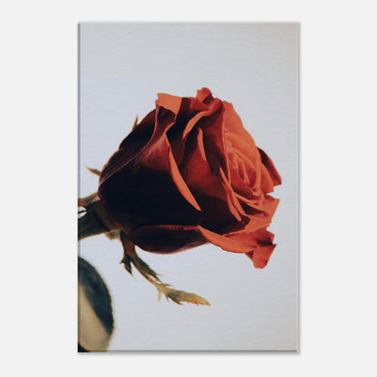 9c1e9bdc-3659-43b2-81a6-4779c2cf6d56