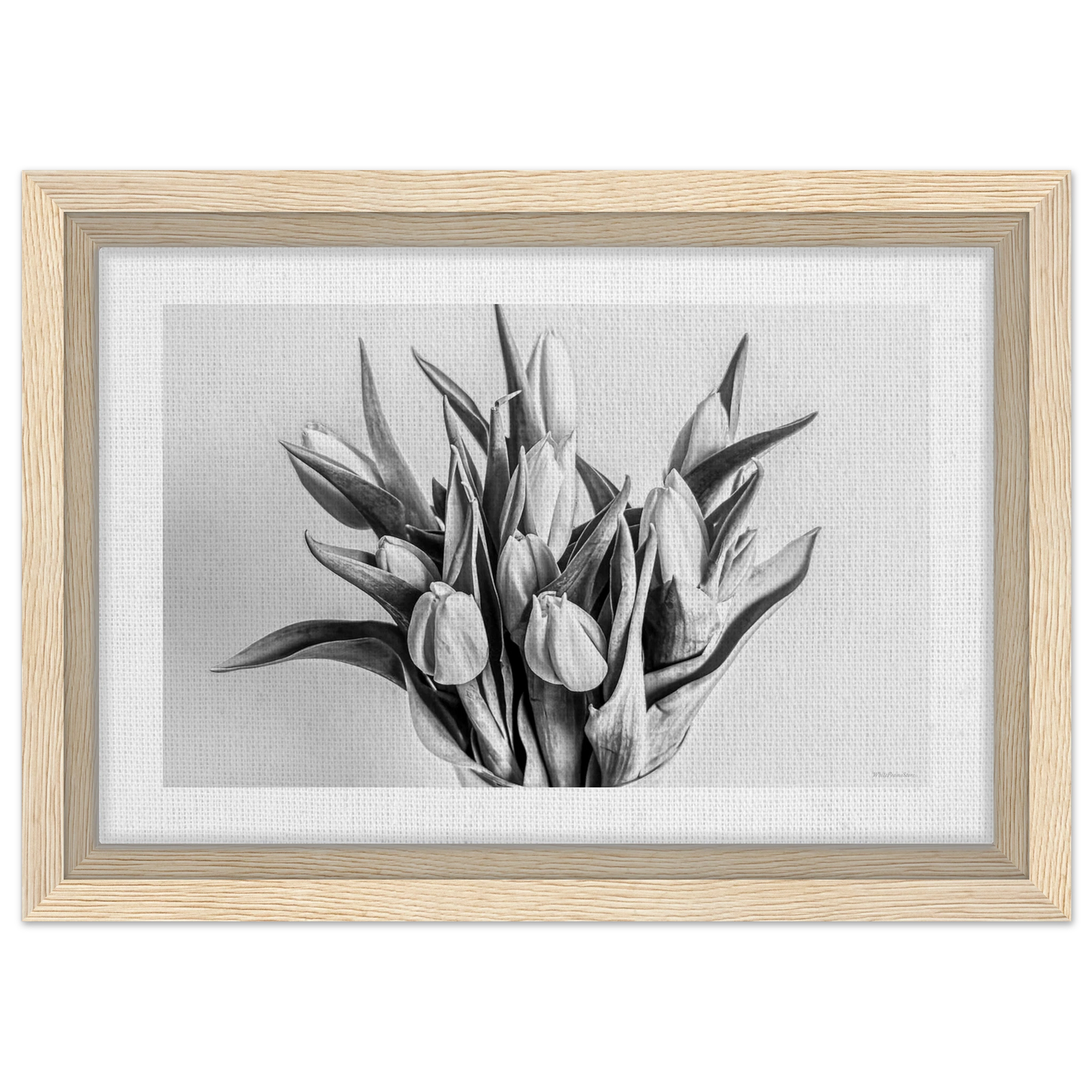 9c209b23-de08-4ee7-ac87-79c89a65443a