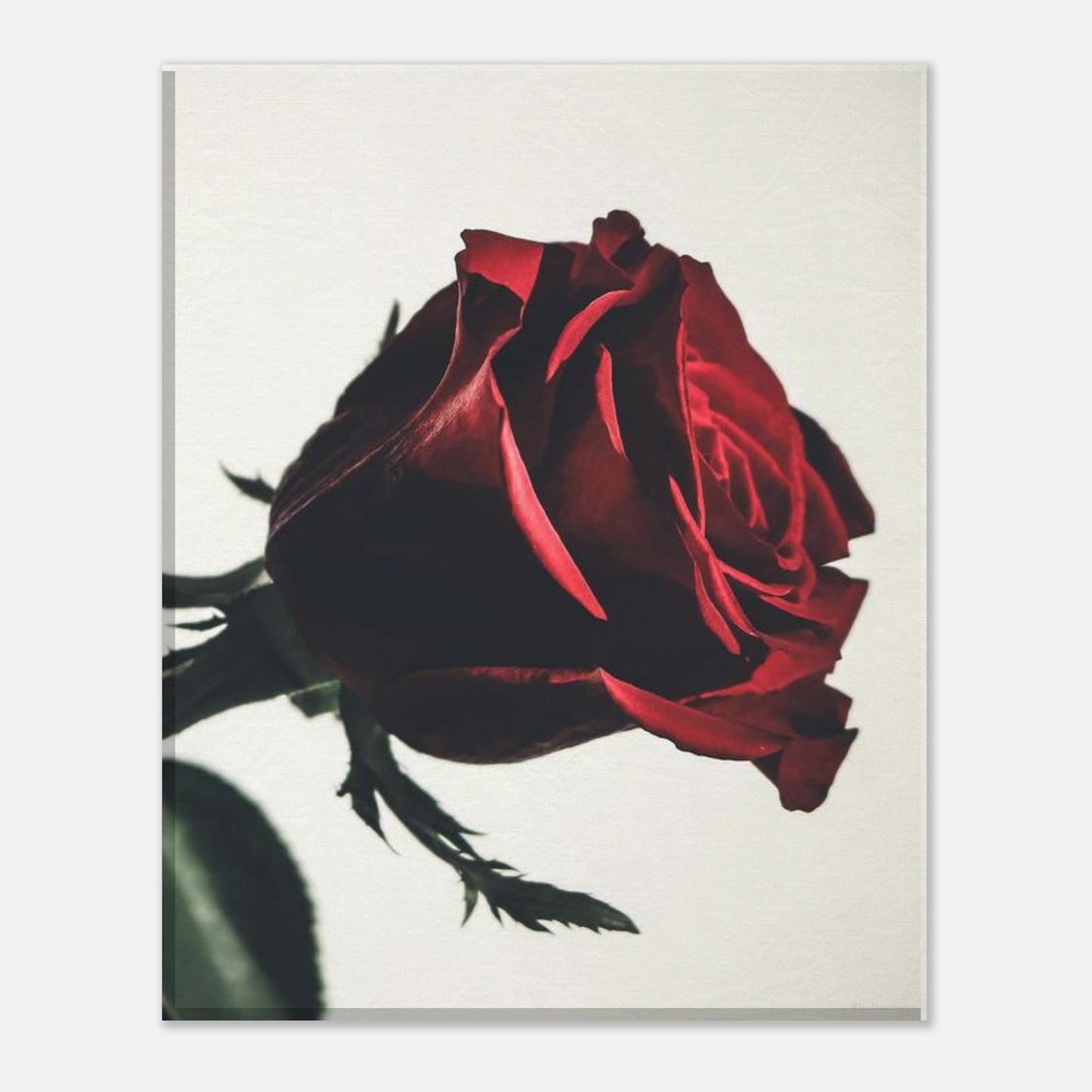 9c25fb5f-13fd-4b27-b602-e025b49f8c30