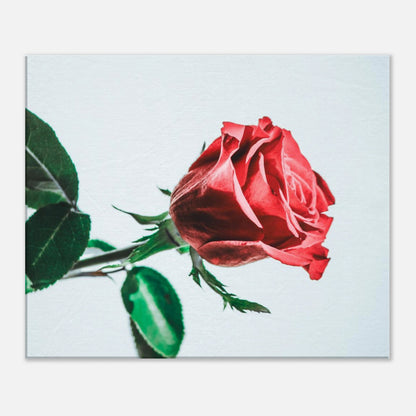 9c2e88bc-1745-4121-961f-55f5924d1c66