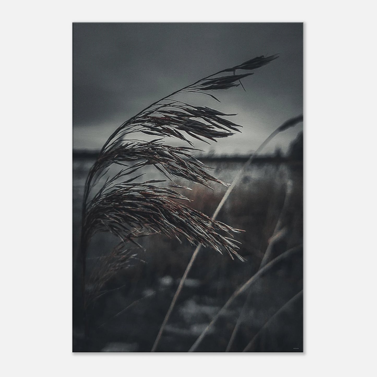 9c32f04c-313e-4582-9d0c-fd4c16167c6d