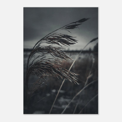 9c32f04c-313e-4582-9d0c-fd4c16167c6d