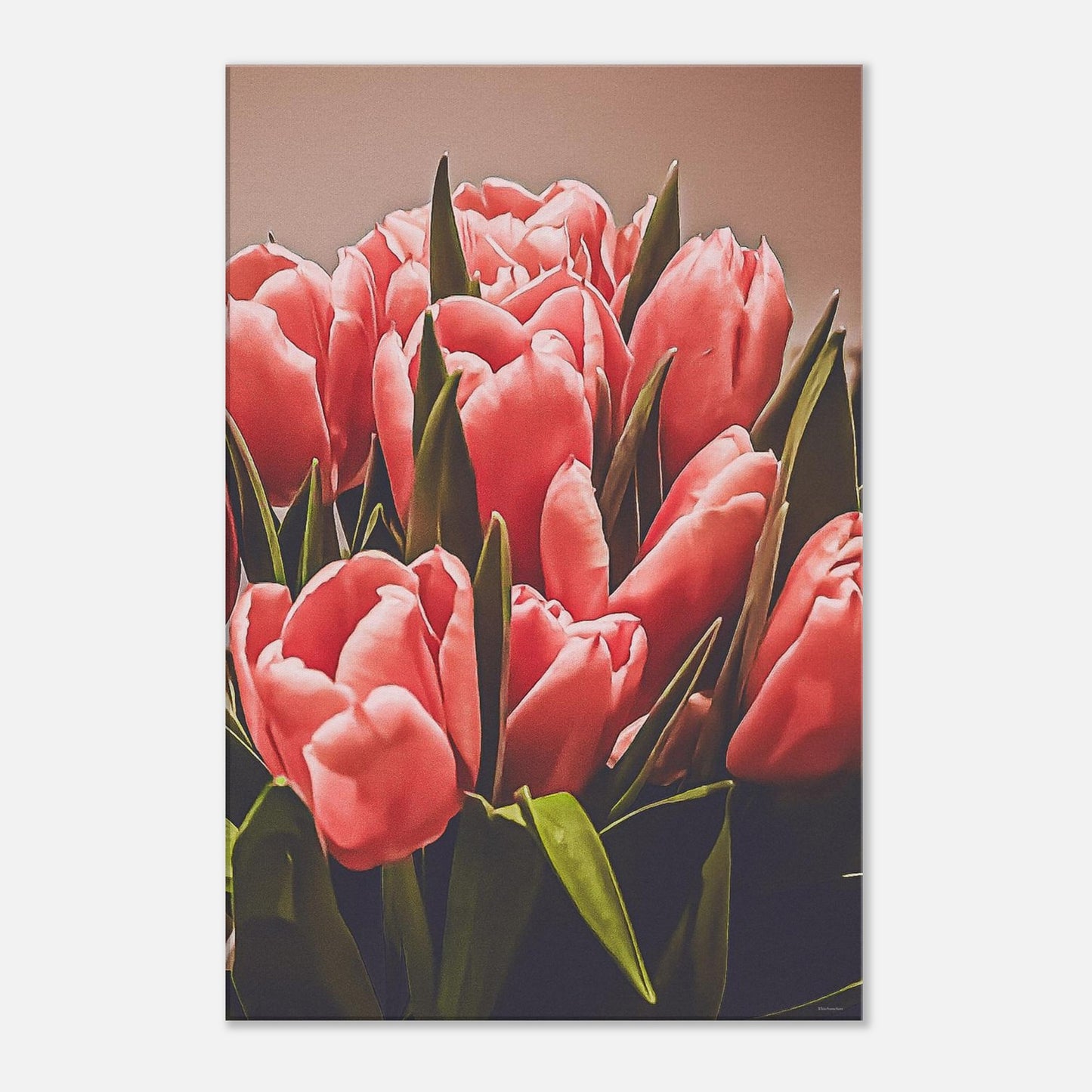 9c4b7815-5e0e-423a-9d5d-ee218ac5c060