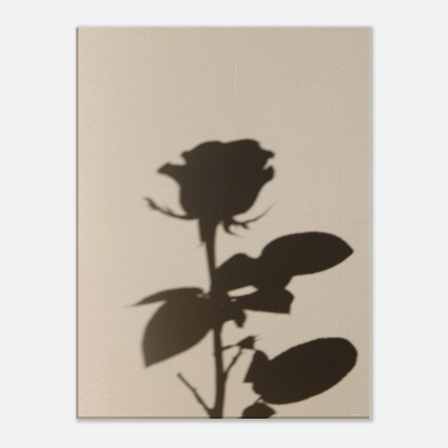 9c4cbff4-5178-4b90-962b-d79e580eb032