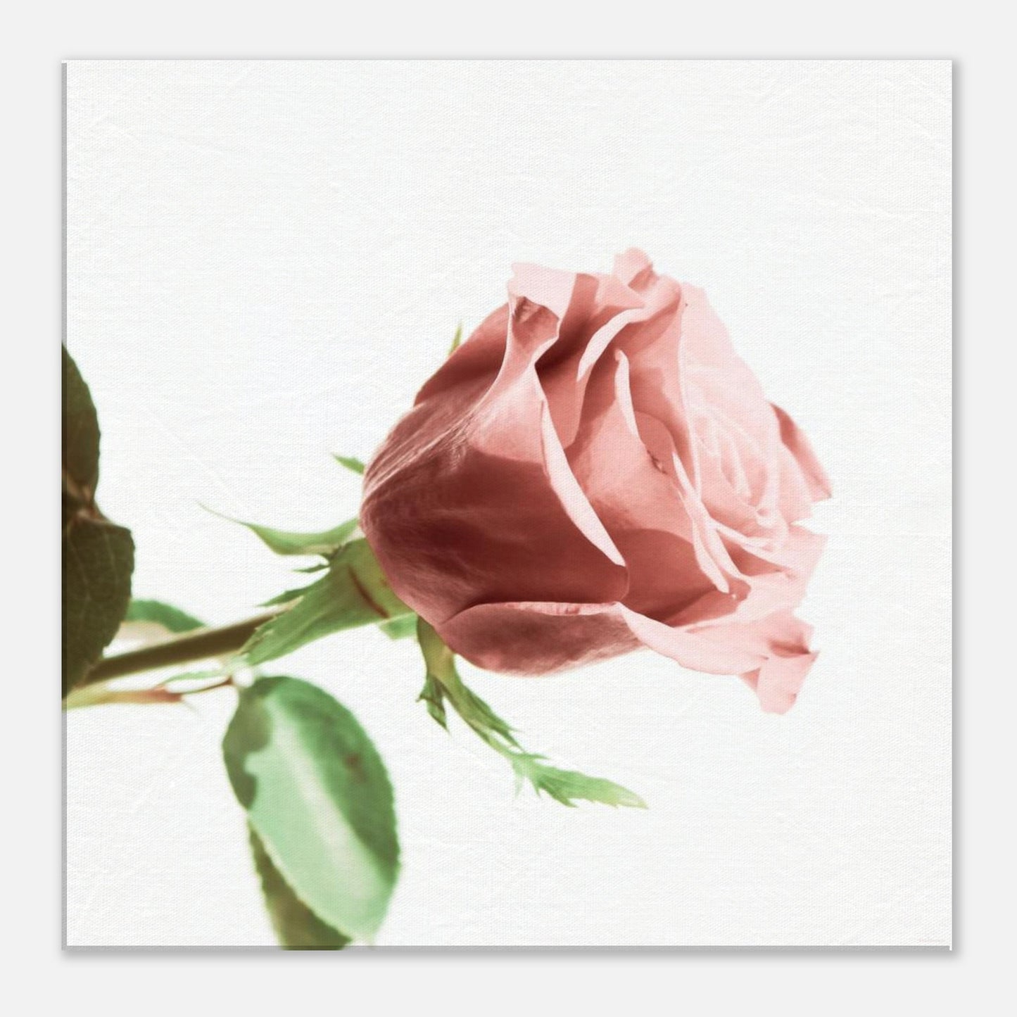 9c6b4a6f-33b2-4315-b935-36e20b33c4ad