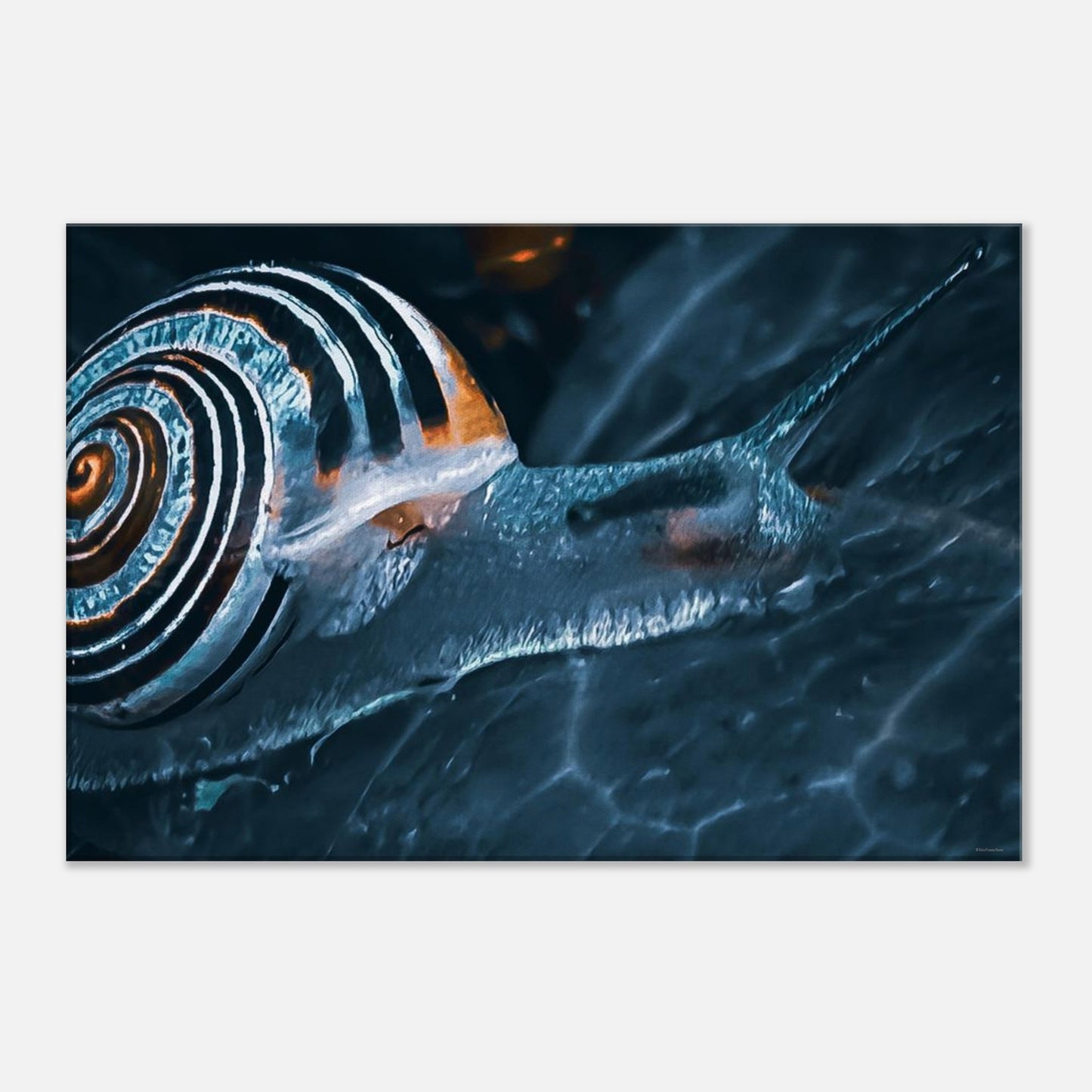 9c826cdc-6098-4cfa-885d-71d1e9459b18