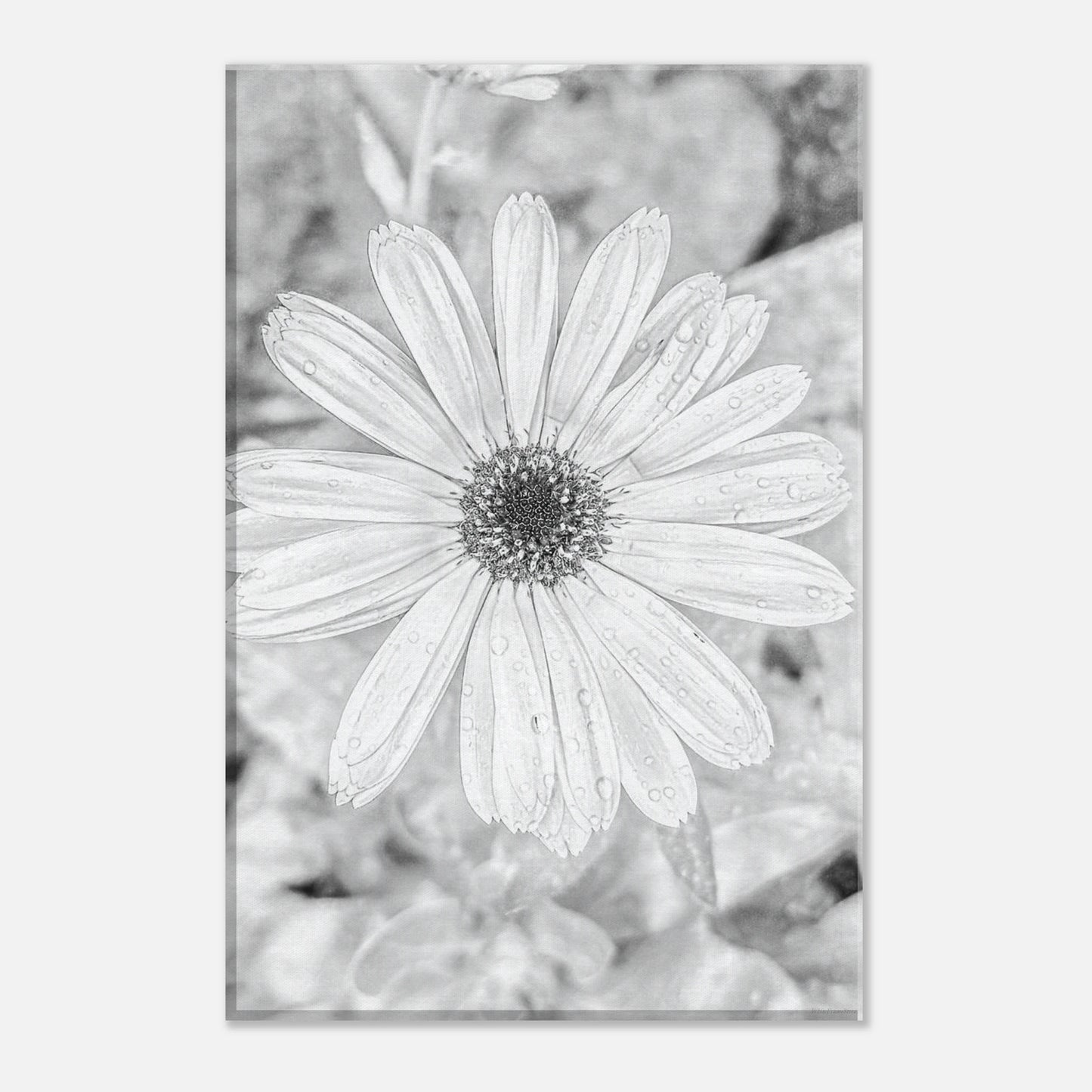 9ca8ab82-b060-4165-8d8b-34167accd85b