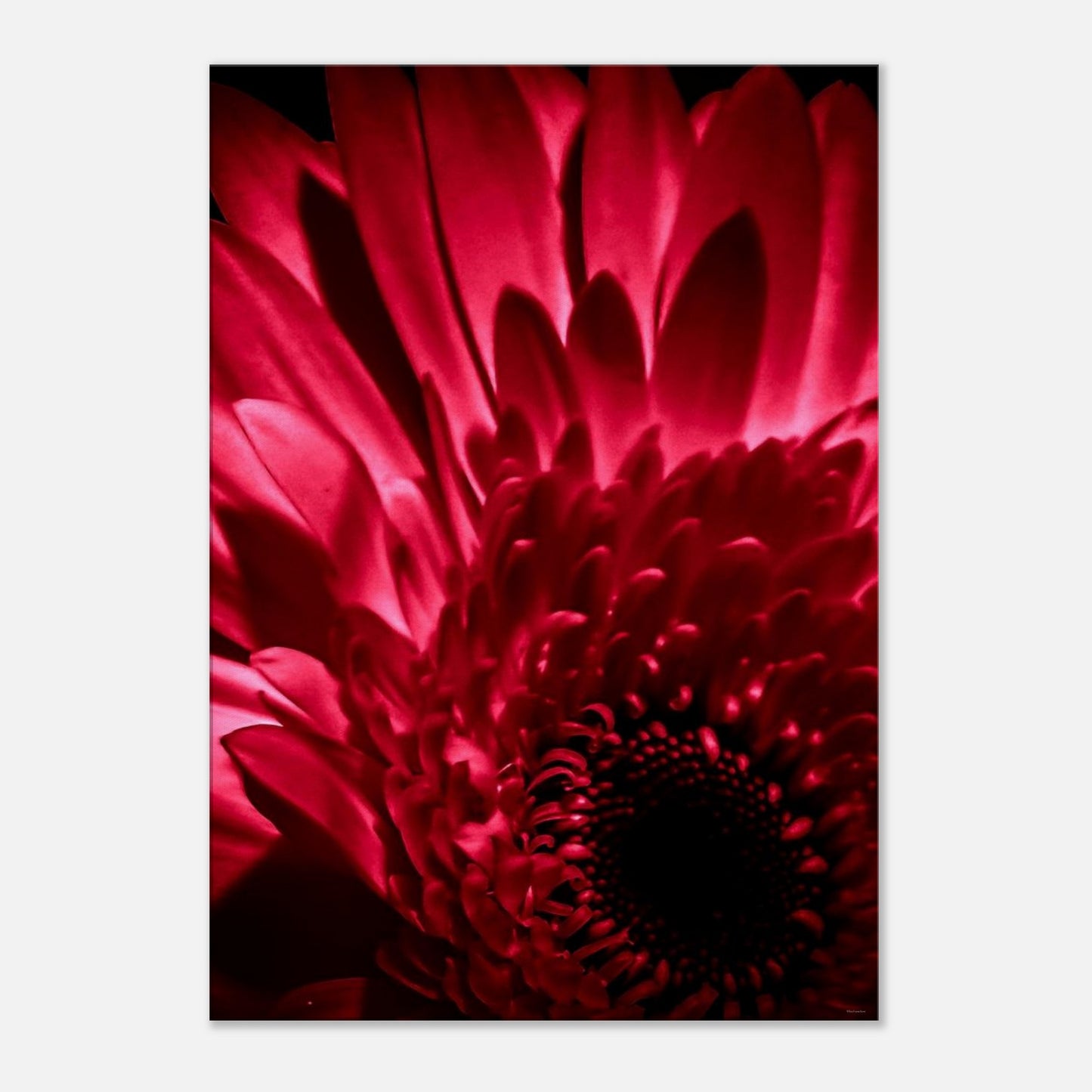 9cbda251-5173-411c-9bf9-d6e022614217