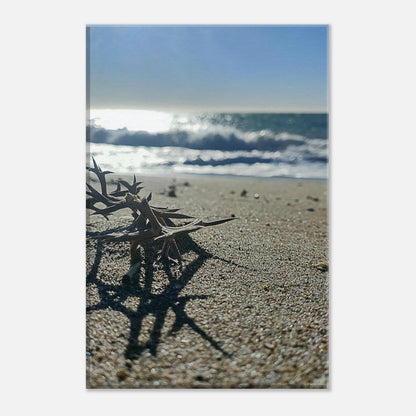 9cd2d8af-13d7-4860-8747-31cad2b2ce73