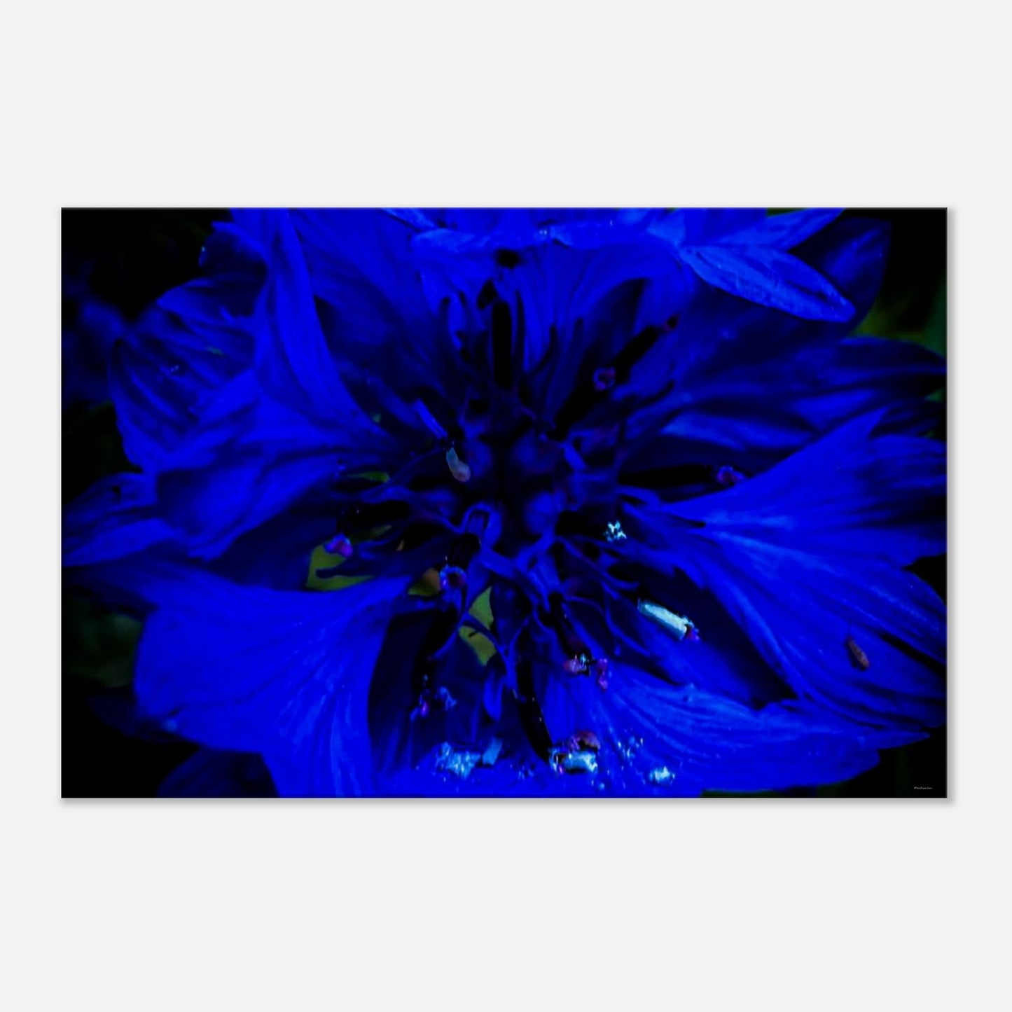 9ce3c989-4441-45c0-956c-da331bc4c715