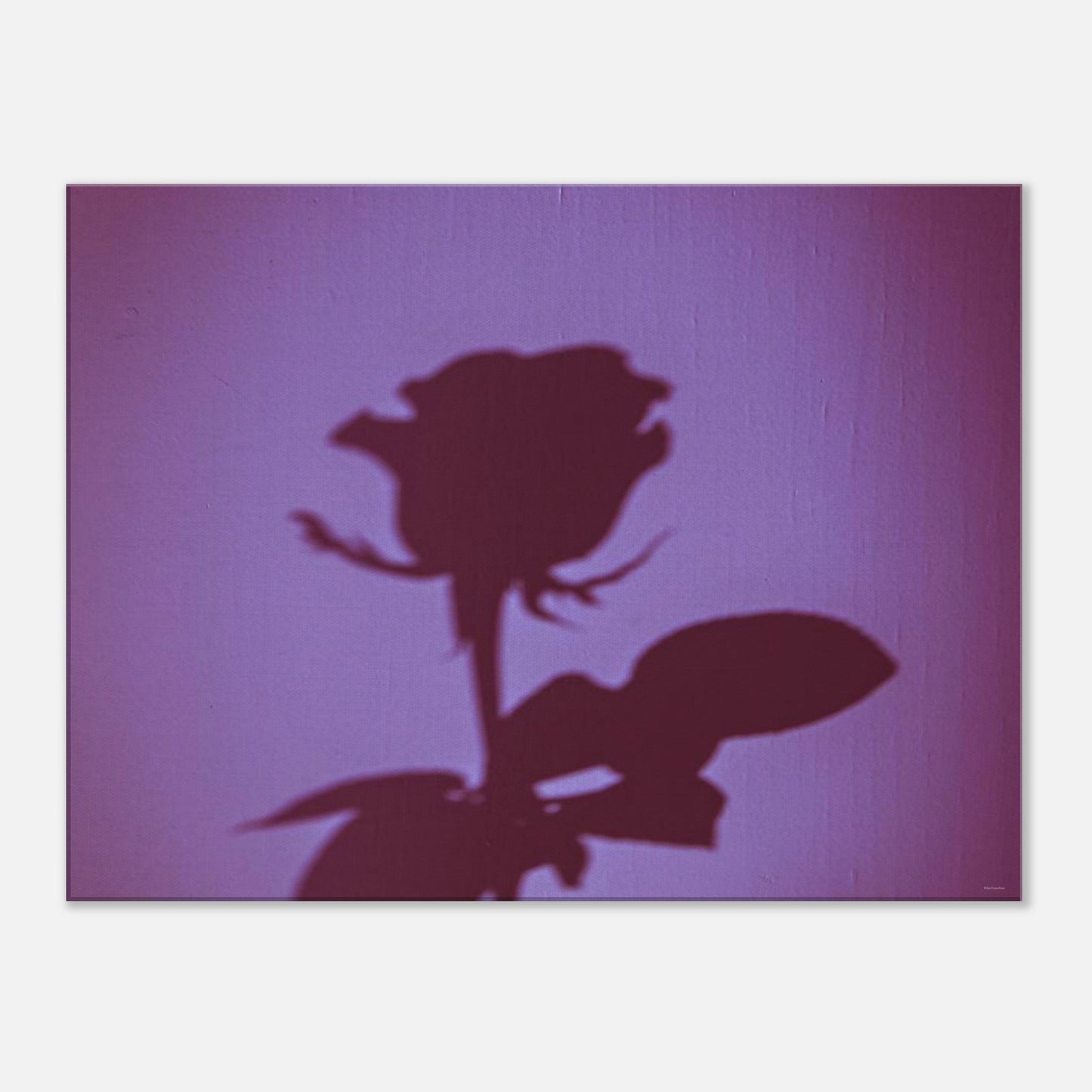 9d0e9b5f-1698-42fe-b9ef-b56a17cbcf9a