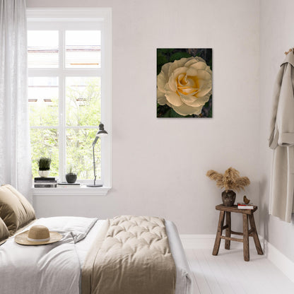 9d1a517c-e5a0-4cd0-bb3a-2a24ddcf08d7