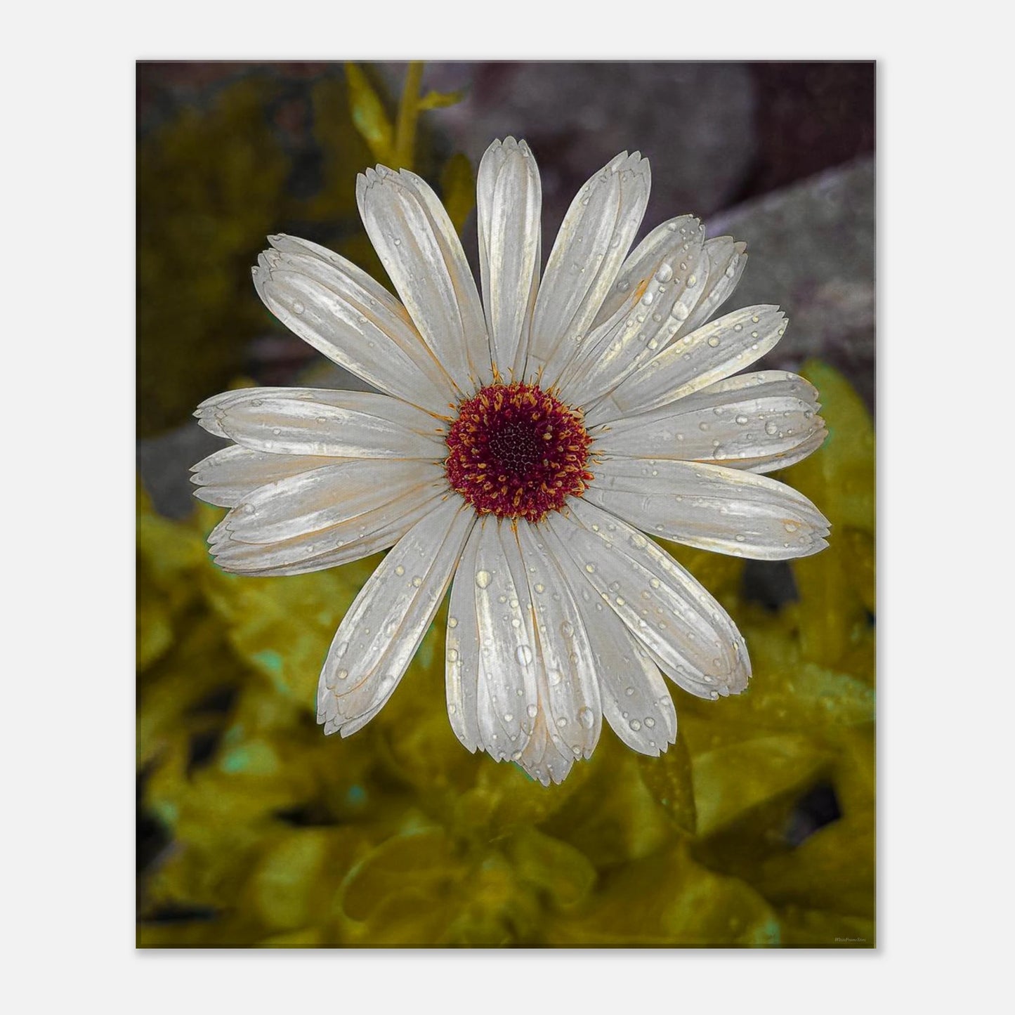 9d49b776-1442-4075-a6d1-72f759597188