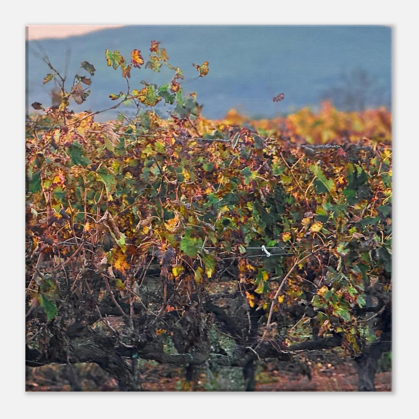 9d4a871c-7d04-49f3-adbf-61396a48747f