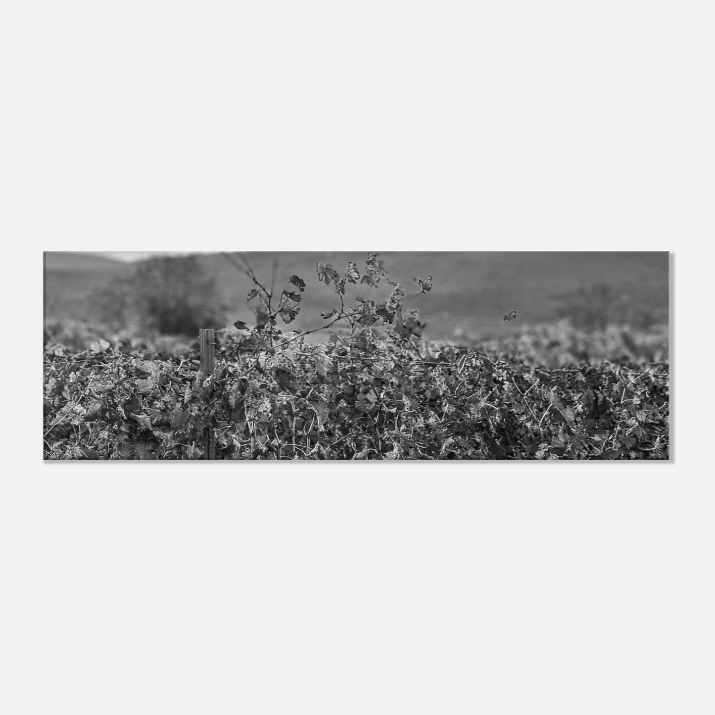 9d680b56-feec-4e99-b75a-e095acdce7f5