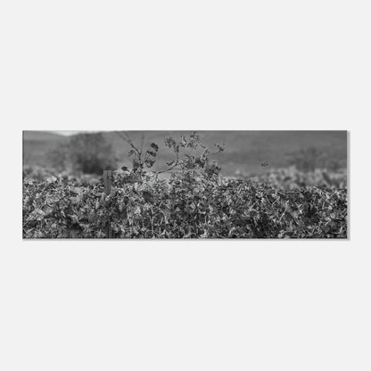 9d680b56-feec-4e99-b75a-e095acdce7f5