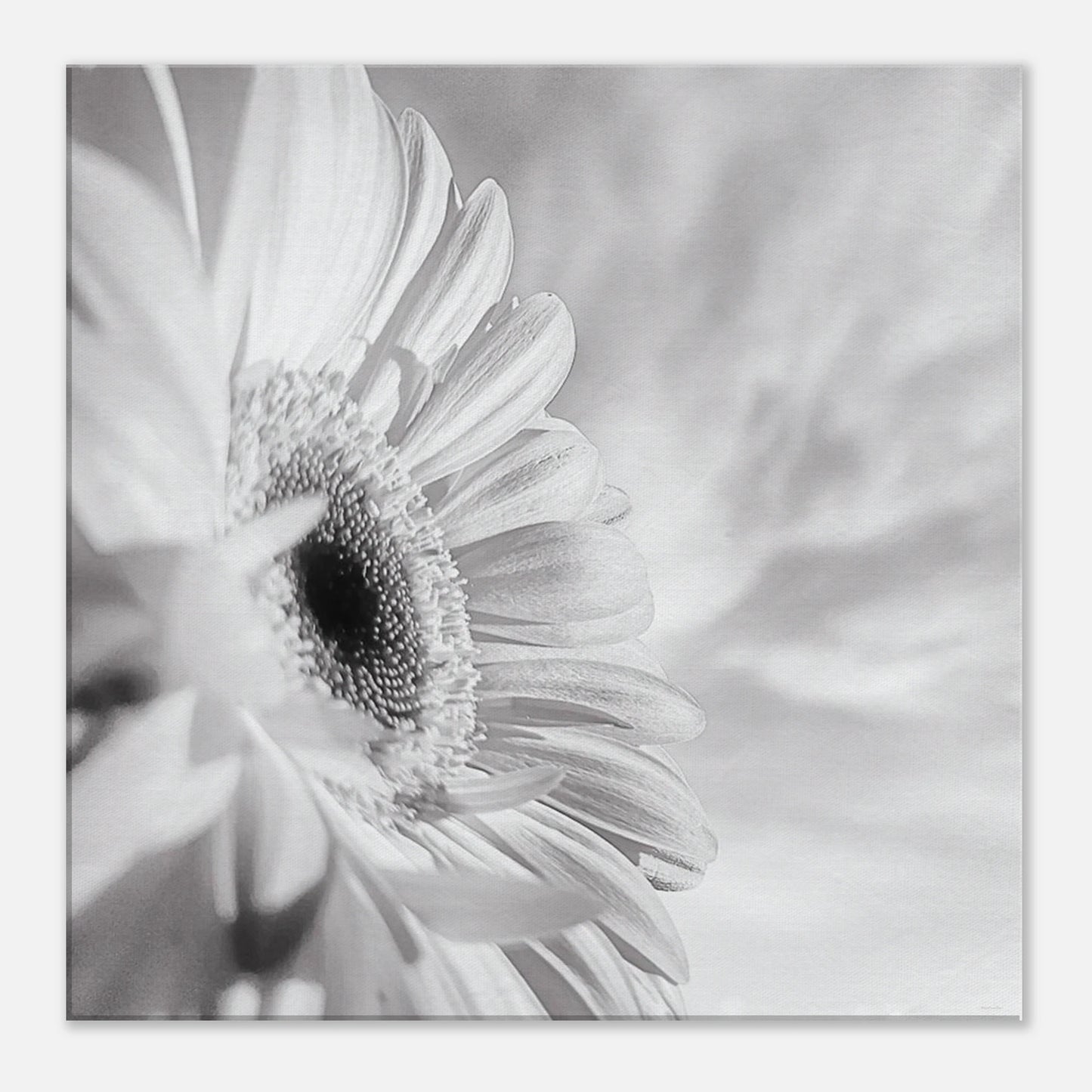 9dde3909-fe0c-453a-a256-9450bf8f993c