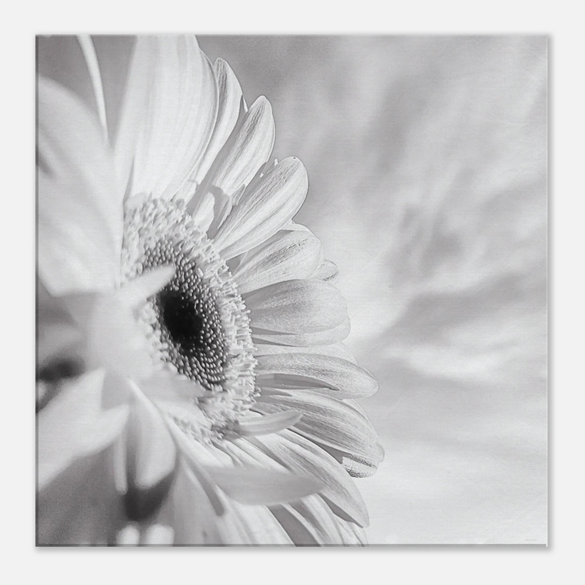 9dde3909-fe0c-453a-a256-9450bf8f993c