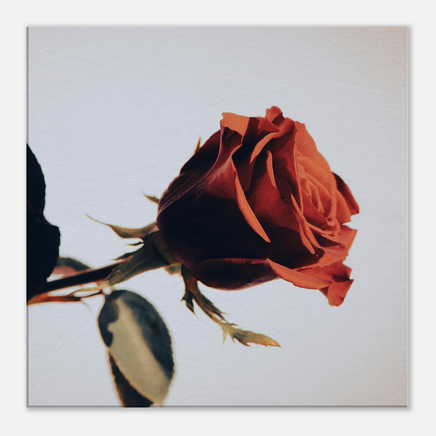 9dedc424-7980-4c80-81a5-d4f5fbcf9b61