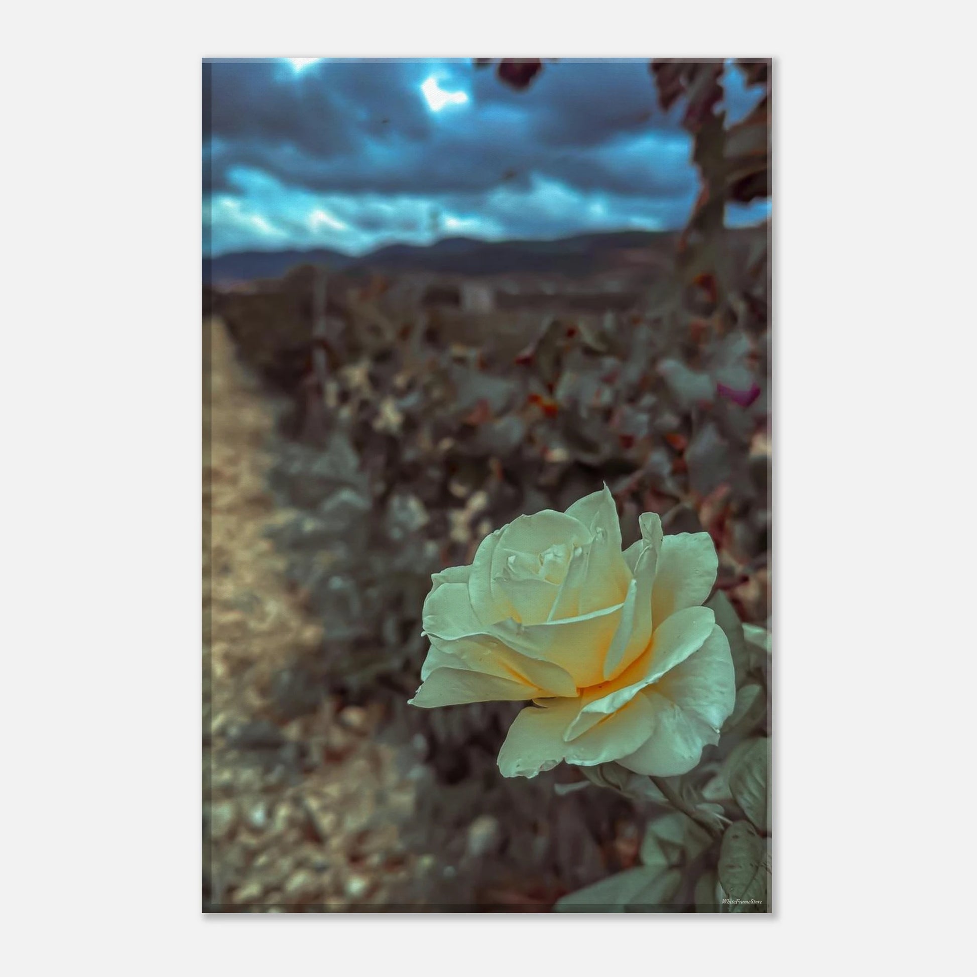 9e1bbb17-8c54-4915-a3fd-c7c32efefa91