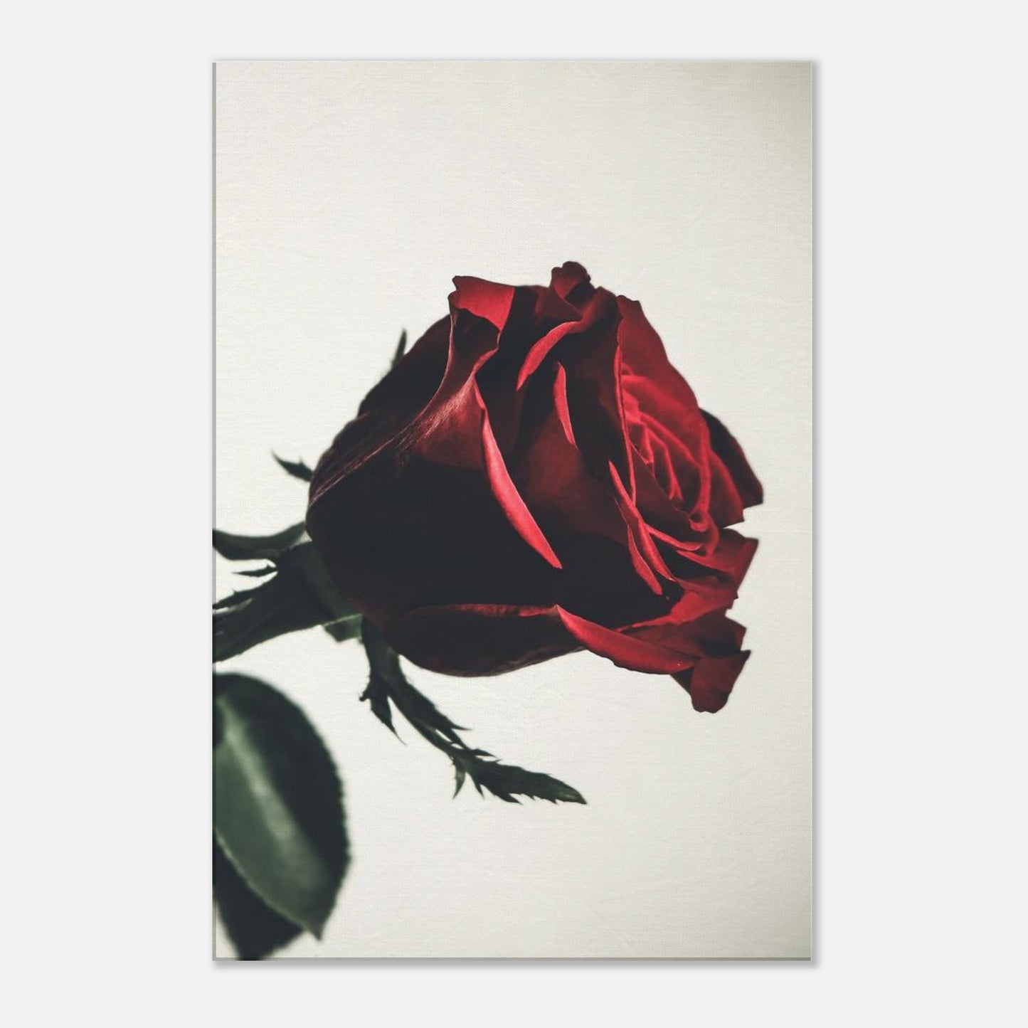 9e20cf7e-8333-4883-a7f0-f806b7f11321