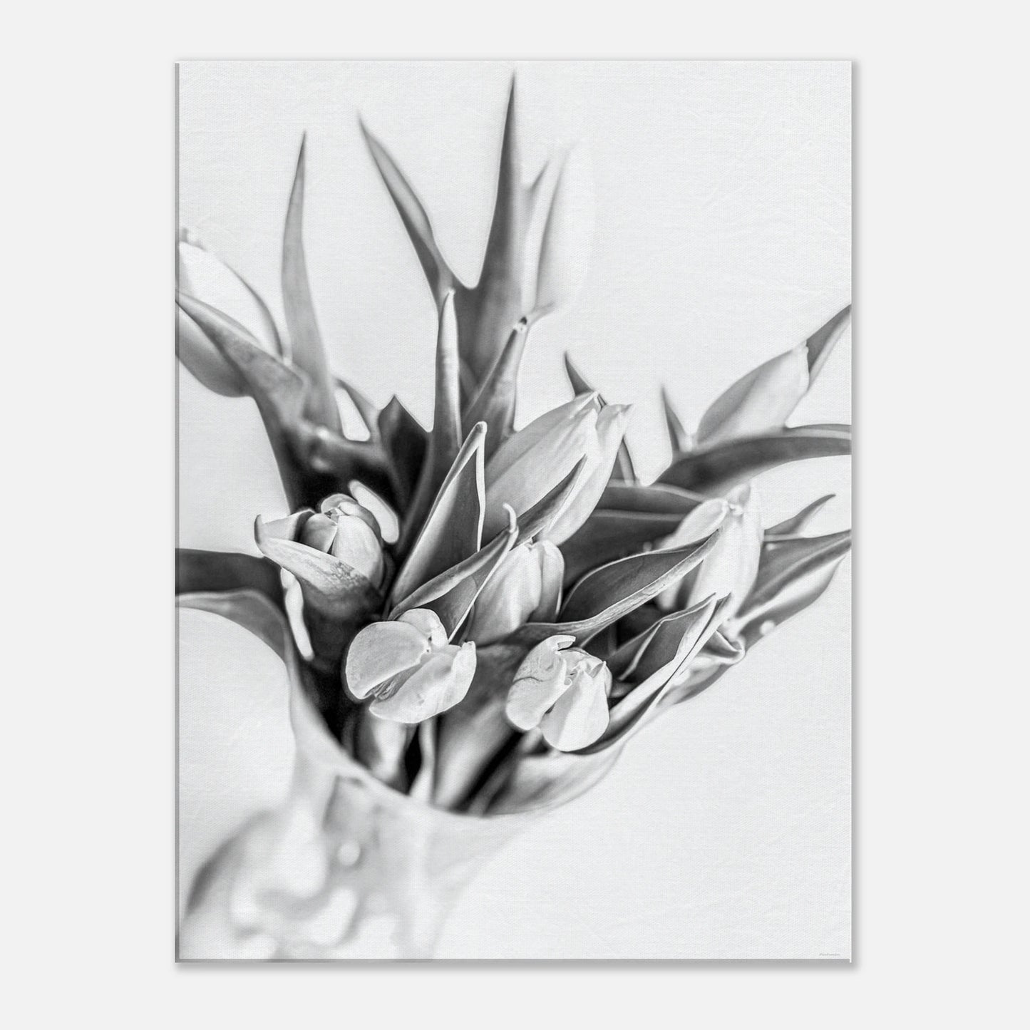 9e3f3eec-5746-46d2-b9f0-03a04fd51ff1