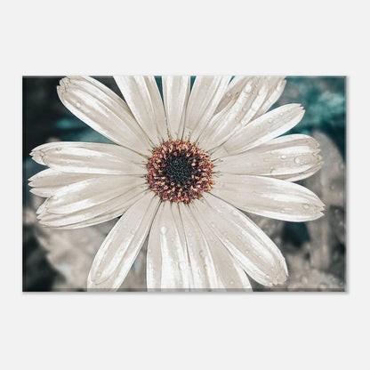 9e537797-56a1-428f-8239-fe6b07d6c0a1