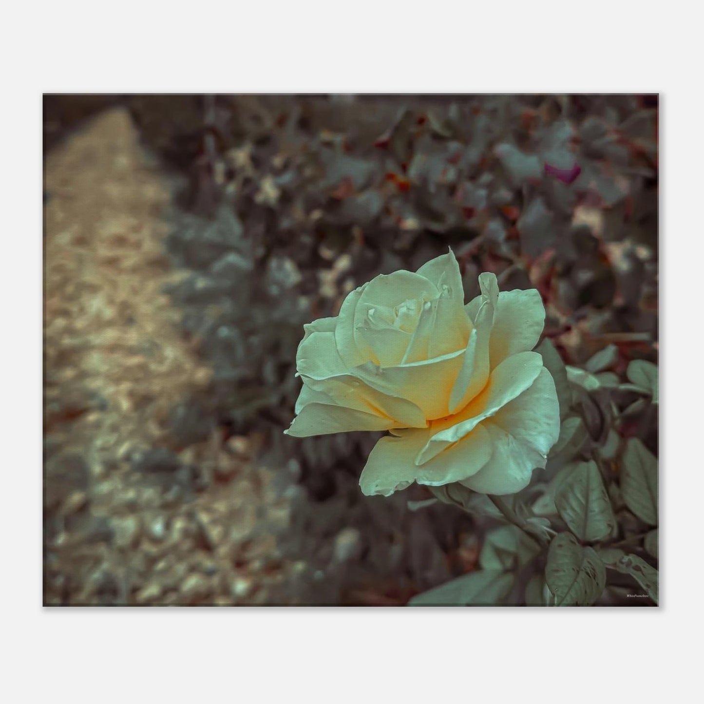 9e57440d-5f1e-4d94-bf94-74c61c2711db