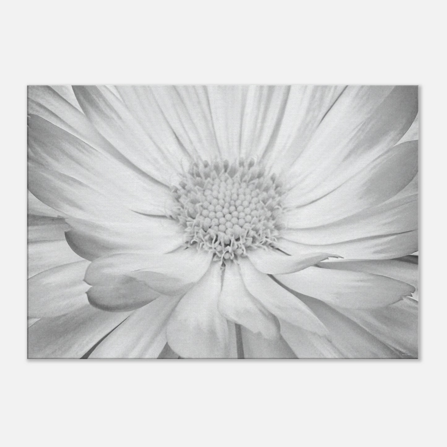 9e608317-a788-4a1e-b72f-5734dec07537