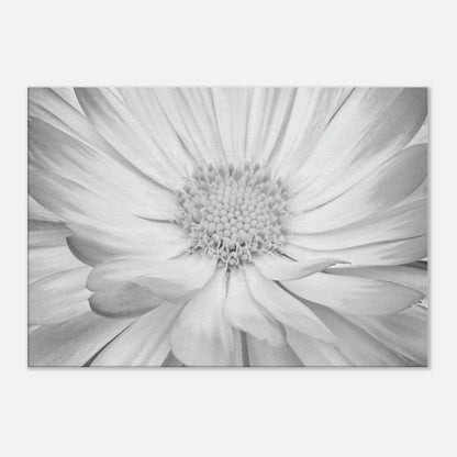 9e608317-a788-4a1e-b72f-5734dec07537