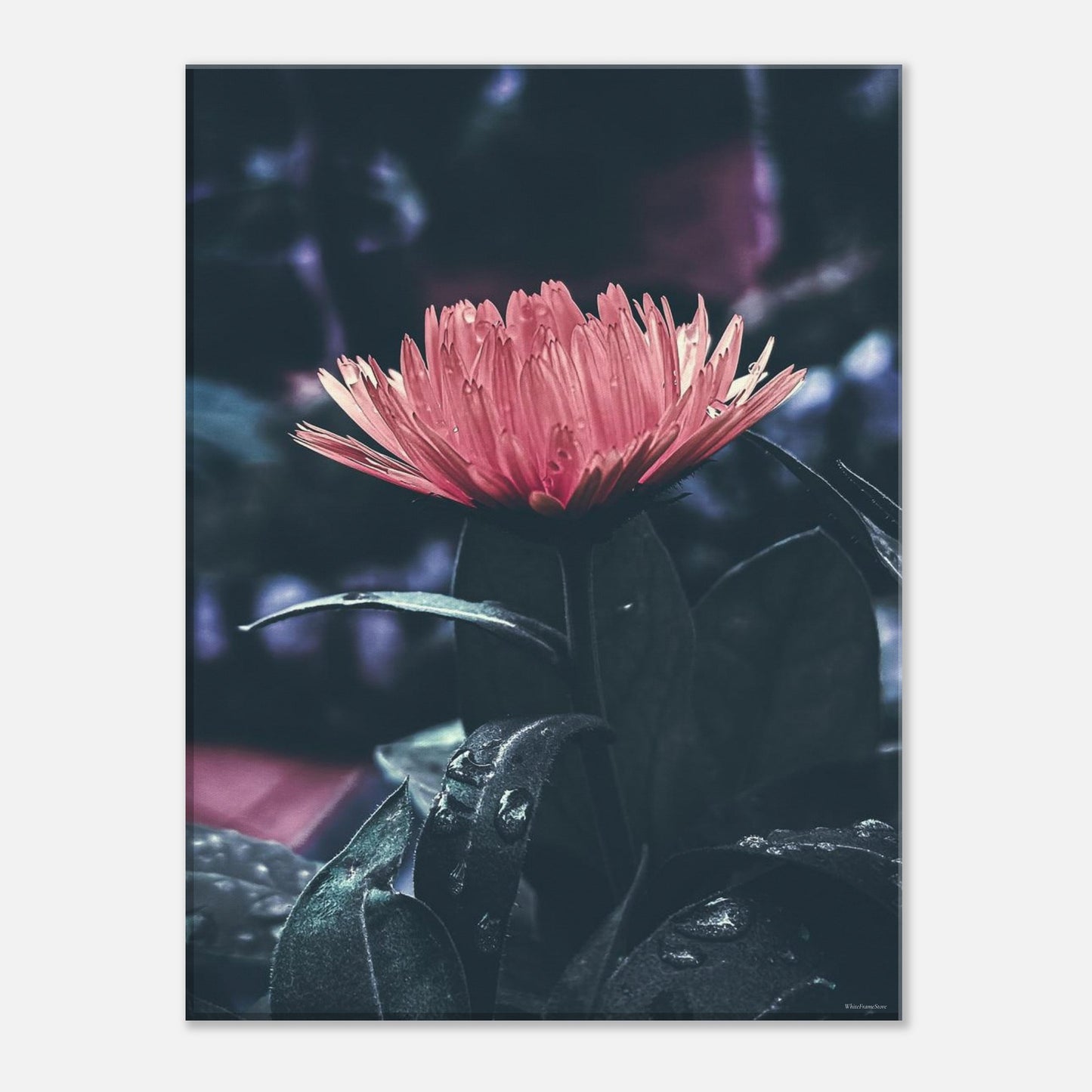 9e67b39a-2c06-42ae-84fc-adc7897435d0