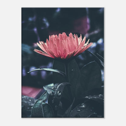 9e67b39a-2c06-42ae-84fc-adc7897435d0